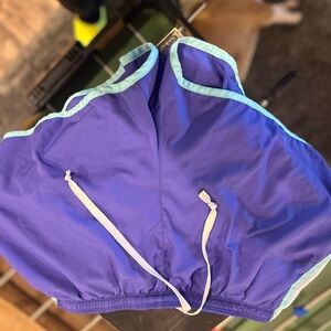 Champion Blue Performance Shorts